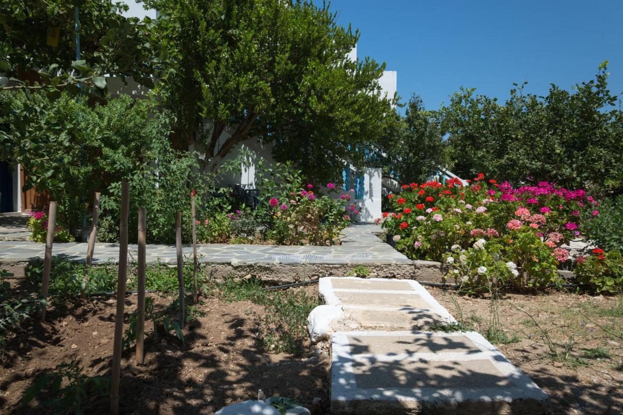 Apartment Akrogiali Lefkos (Karpathos)